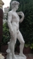 Preview: Steinfiguren, David & Venus / Skulpturen, Gartenfiguren, Park & Gartendekoration, Statuen, Parkfiguren, Steinguss