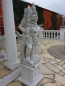 Preview: "Indian Warrior" magnificent 115 Kg white concrete