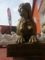 Preview: large "Sphinx XXL" stone statue old-gold patina