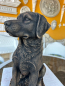 Preview: Gartenfigur, Hund, Skulptur, Tierfigur, Steinfigur, Park & Gartendekoration, Steinguss, Statue