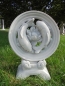 Preview: Koi Fisch Skulptur, Steinfigur