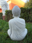 Preview: Buddha Tempelwächter