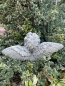 Preview: Engelsstatue, Engelsgesicht
