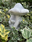 Preview: Igel mit Pilz