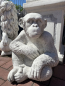 Preview: Schimpanse, Steinfiguren, Gartenfiguren, Skulpturen, Steinguss, Frostsicher, winterfest, Gartendekoration