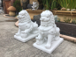Preview: Fu-Löwen-Statuen-Gartenfiguren