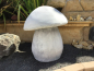 Preview: Steinpilz, Pilzfigur, Betonfigur