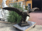 Preview: Steinfigur, Adler XXL, Lebensgroß, Park & Gartendekoration, Steinguss, Frostsicher, Statue