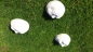 Preview: Gartenfiguren, Steinfiguren, Statuen, Skulpturen, Gartendekoration