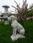 Preview: Hunde, Jagdhund, Skulptur, Steinfigur, Statue