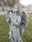 Preview: detailed angel statue made â€‹â€‹of concrete 75 cm high