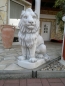 Preview: Löwen, Statue, Steinfigur, Skulptur, Gartendekoration