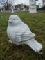 Preview: Skulptur, Steinfigur, Statue, Gartenfigur, Gartendekoration