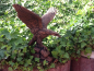 Preview: Adler Steinfigur, Frostsicher, Gartendeko
