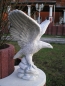 Preview: Adler Statuen, Steinfiguren, Skulpturen, Gartendekoration
