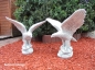 Preview: Adler Statuen, Steinfiguren, Skulpturen, Gartendekoration