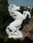 Preview: Pferd, Steinfigur, Statue, Skulptur, Gartenfigur