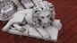 Preview: impressive stone lion figure shows input ranges
