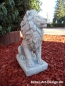 Preview: small lion statue left looking 36 cm tall