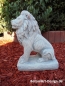 Preview: small lion statue left looking 36 cm tall