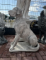 Preview: Hund XXL, Dogge, sitzender großer Hund