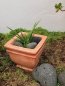 Preview: Pflanzschale, Pflanztopf, 24 cm hoch, Park & Gartendekoration, Steinguss