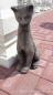 Preview: Katze, Steinfiguren, Gartenfiguren, Skulpturen, Statuen