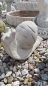 Preview: Schnecke, Steinfiguren, Gartenfiguren, Skulpturen, Statuen