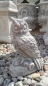 Preview: Garden figure "Owl" 29 cm high concrete Gartendeko