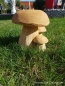 Preview: Cute mushroom group - garden decor of concrete