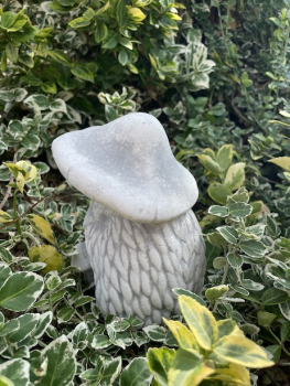 Preview: Igel mit Pilz