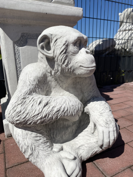Preview: Affe, Gartenfiguren, Steinfiguren, Steinguss, Skulpturen, Tierfiguren, Frostsicher, Winterfest, Gartendekoration