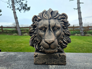 Steinfigur Löwenkopf, H. 48 cm, Steinguss, Skulpturen, Büste Löwe