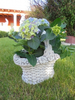 Pflanzschale, Steinfiguren, Gartenfiguren, Skulpturen, Statuen