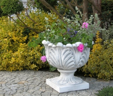 Pflanztopf, Amphore, Blumenschale, Vase, Steinkübel, Pflanzschale
