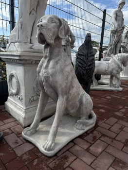 Hund XXL, Dogge, sitzender großer Hund