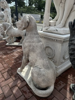 Preview: Hund XXL, Dogge, sitzender großer Hund