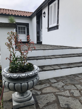 Pflanzschale, Pflanzamphore, Park & Gartendekoration, Blumenschale, Steinguss, Amphore