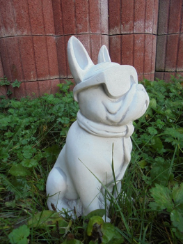 Bulldogge mit Brille, Hund
