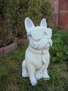 Preview: Bulldogge mit Brille, Hund