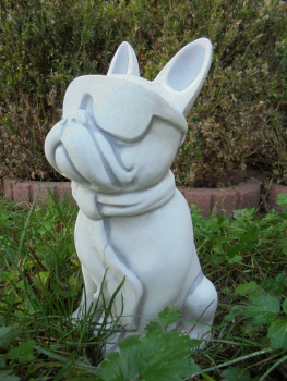 Preview: Bulldogge mit Brille, Hund