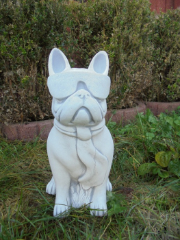 Preview: Bulldogge mit Brille, Hund