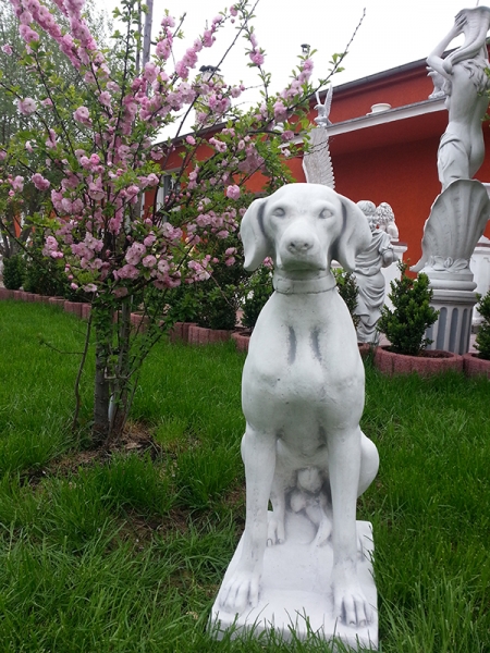 Hunde, Jagdhund, Skulptur, Steinfigur, Statue