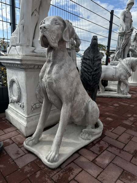 Hund XXL, Dogge, sitzender großer Hund