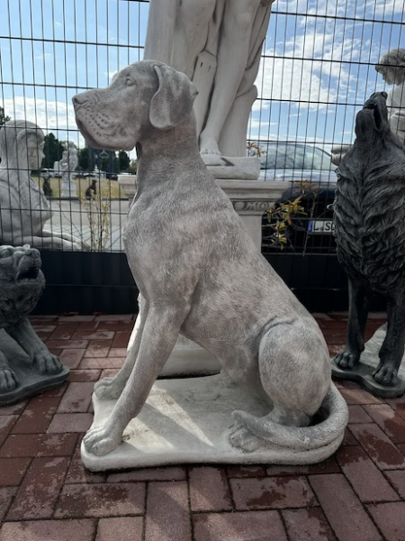 Hund XXL, Dogge, sitzender großer Hund