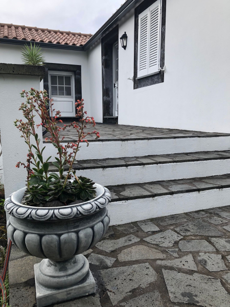 Pflanzschale, Pflanzamphore, Park & Gartendekoration, Blumenschale, Steinguss, Amphore
